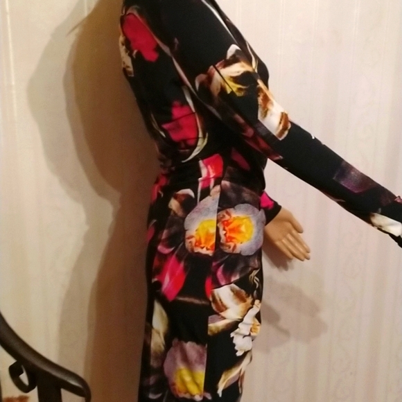 - 🌺Gorgeous Ted Baker fitted fully lined size 2 exquisite dress never worn 🌸 - Picture 6 of 9